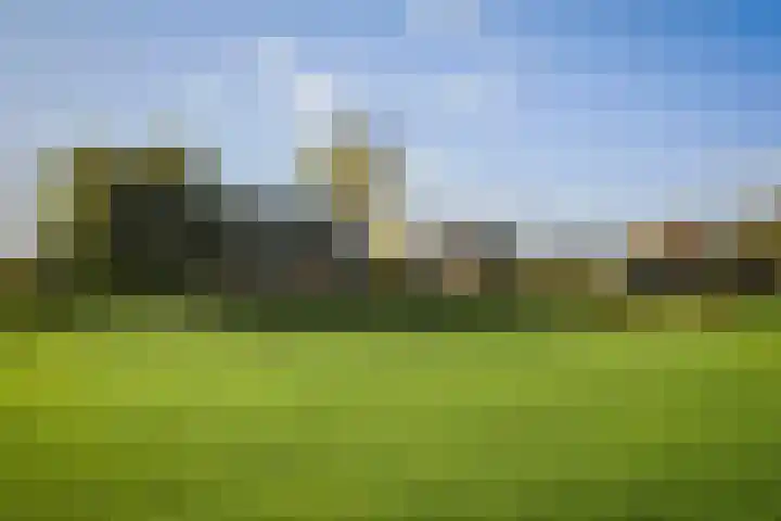 Bandijk 20 Terwolde thumbnail 5