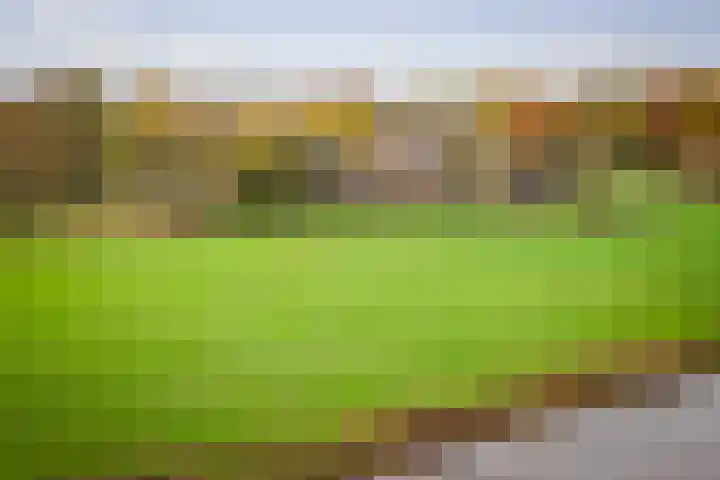 Bandijk 20 Terwolde thumbnail 50