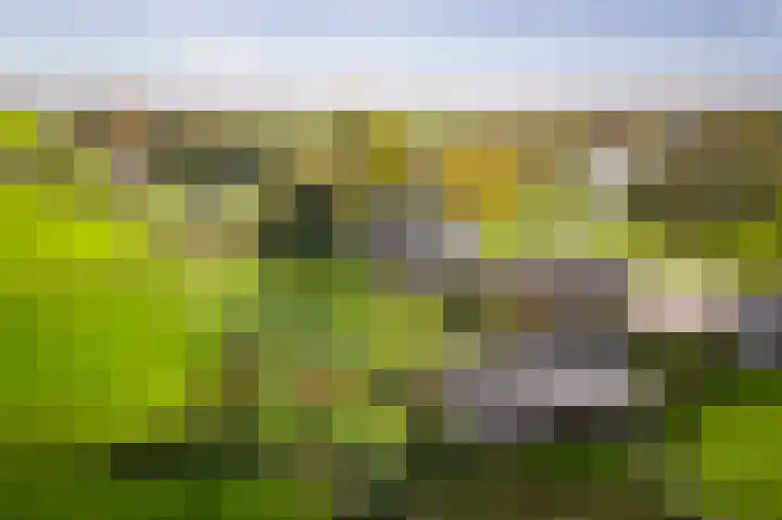 Bandijk 20 Terwolde thumbnail 51