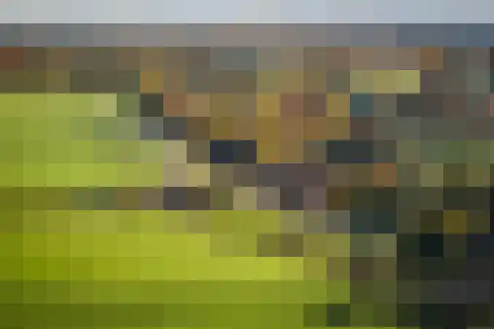 Bandijk 20 Terwolde thumbnail 52