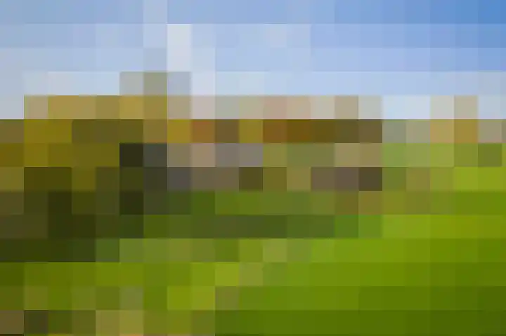 Bandijk 20 Terwolde thumbnail 53