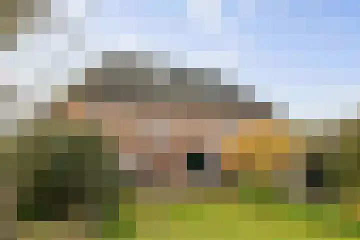 Bandijk 20 Terwolde thumbnail 56