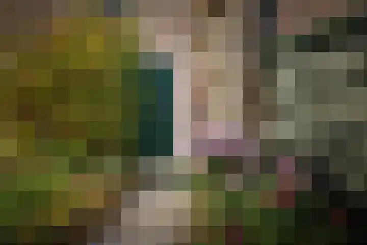 Bandijk 20 Terwolde thumbnail 57