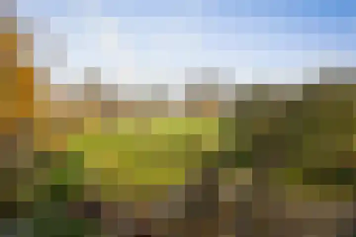 Bandijk 20 Terwolde thumbnail 67