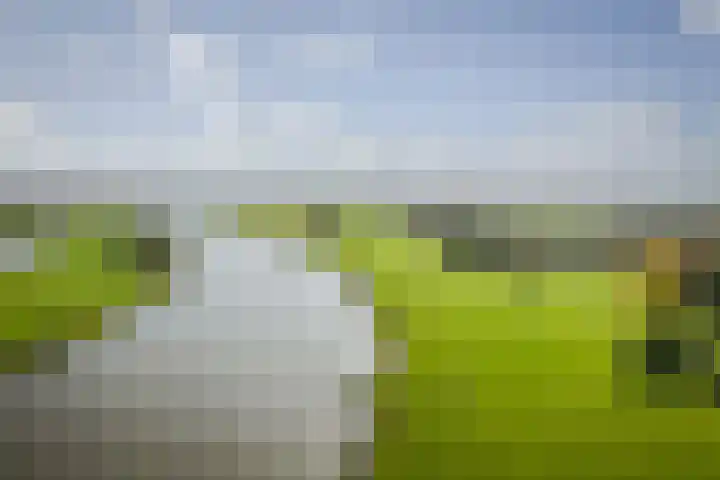 Bandijk 20 Terwolde thumbnail 68