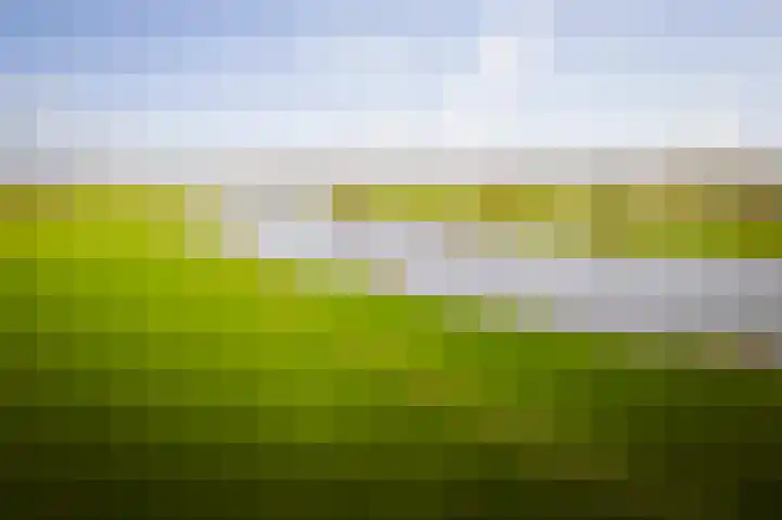 Bandijk 20 Terwolde thumbnail 69