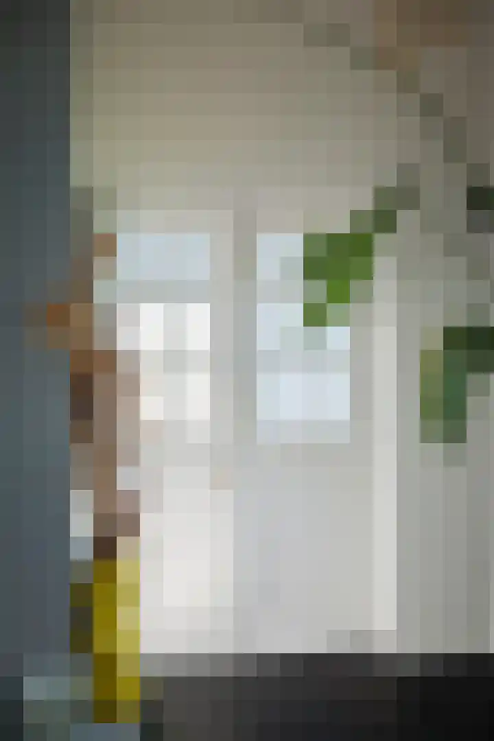 Bandijk 20 Terwolde thumbnail 7