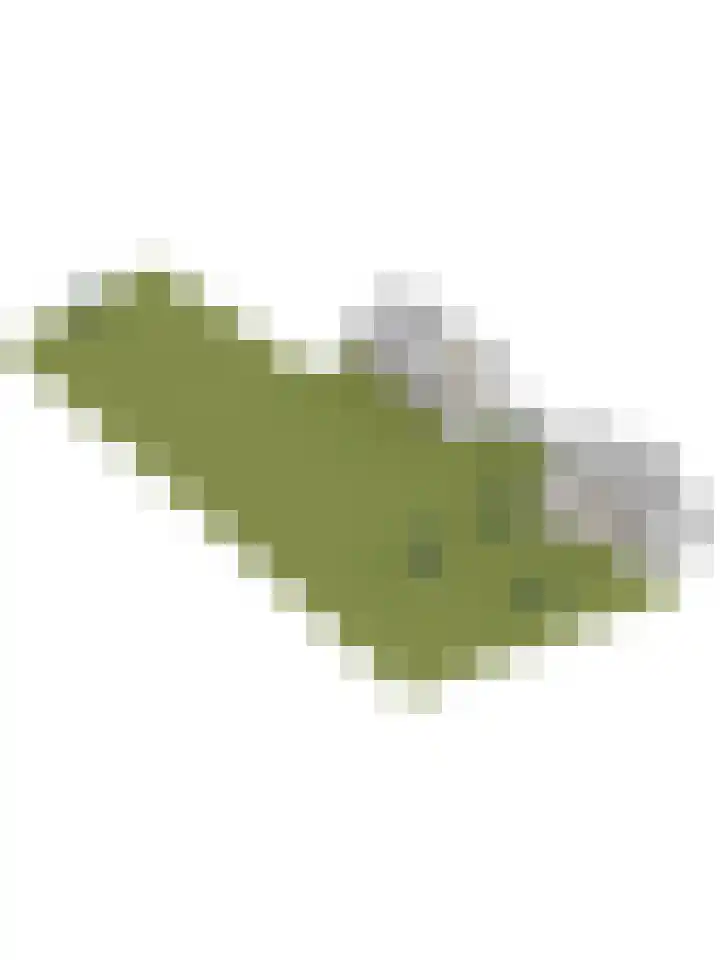 Bandijk 20 Terwolde thumbnail 75
