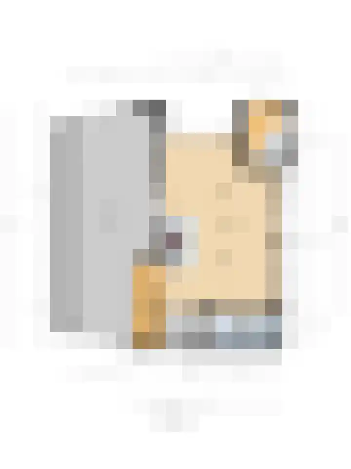 Bandijk 20 Terwolde thumbnail 79
