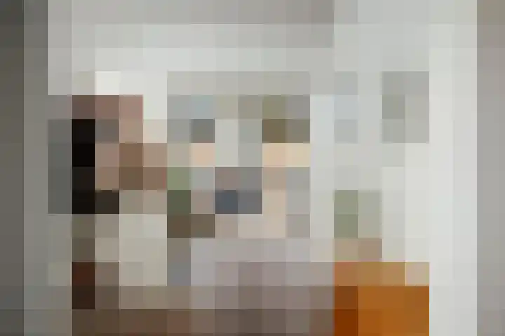 Bandijk 20 Terwolde thumbnail 8