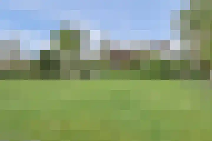 Bandijk 33 Terwolde thumbnail 10