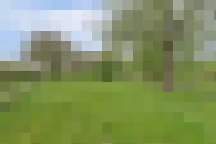 Bandijk 33 Terwolde thumbnail 11