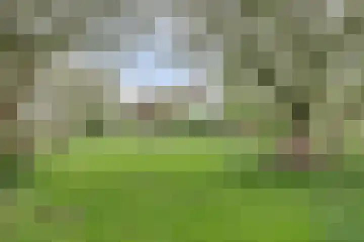 Bandijk 33 Terwolde thumbnail 13
