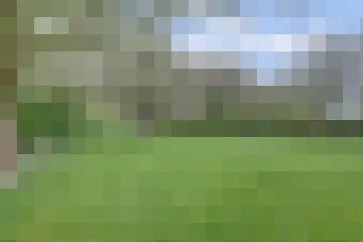 Bandijk 33 Terwolde thumbnail 14