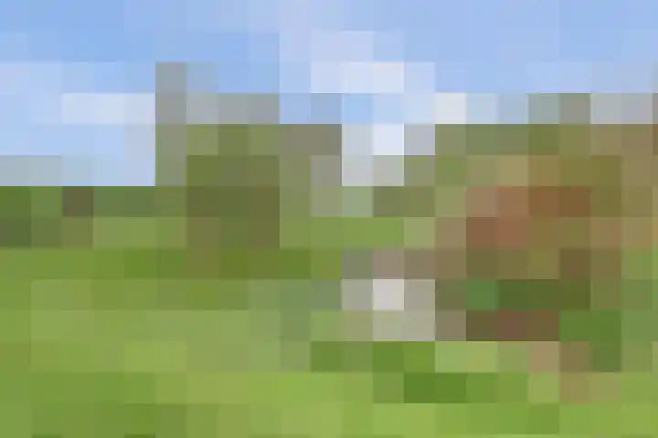 Bandijk 33 Terwolde thumbnail 16