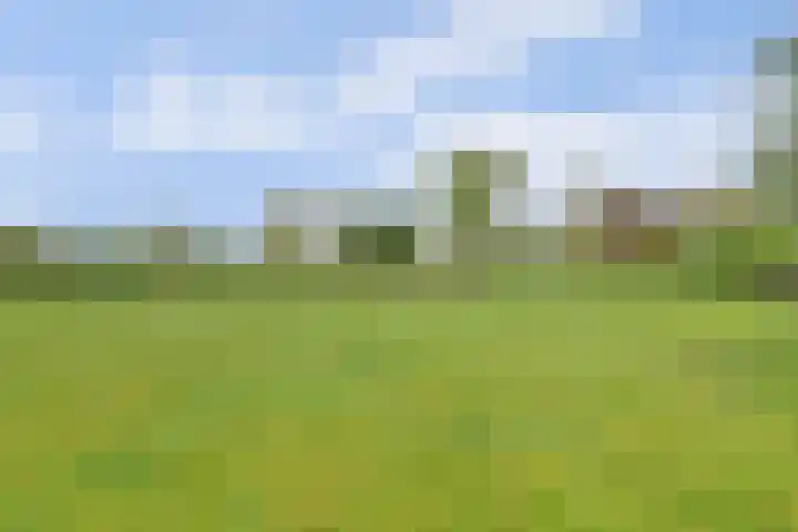 Bandijk 33 Terwolde thumbnail 19