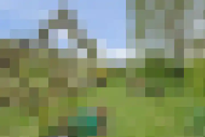 Bandijk 33 Terwolde thumbnail 22