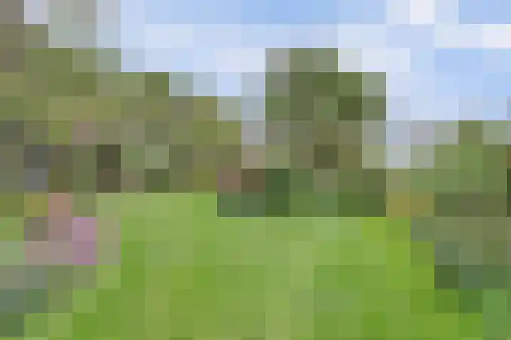 Bandijk 33 Terwolde thumbnail 26
