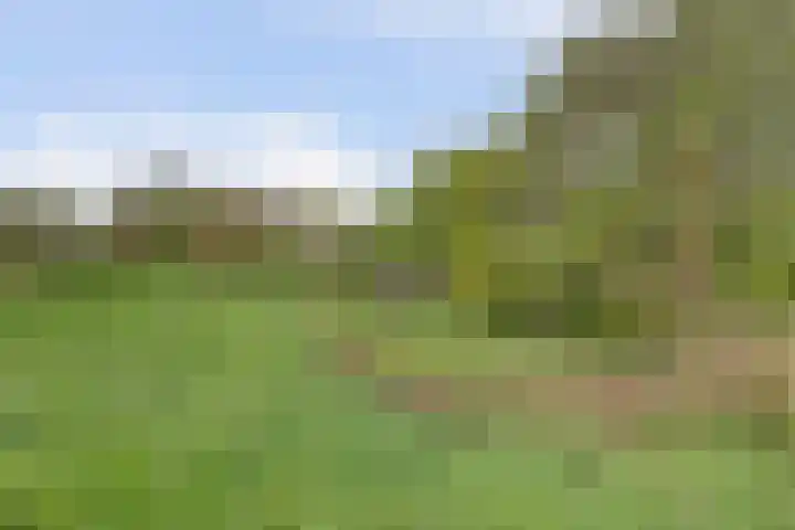 Bandijk 33 Terwolde thumbnail 27