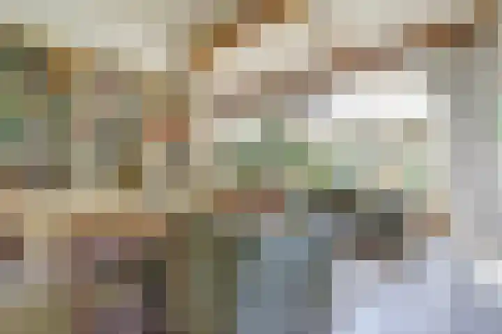 Bandijk 33 Terwolde thumbnail 31
