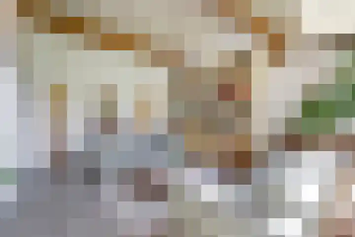Bandijk 33 Terwolde thumbnail 32