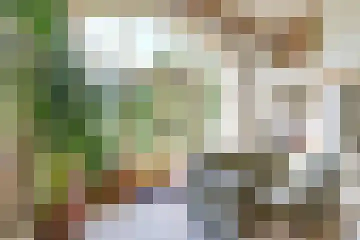 Bandijk 33 Terwolde thumbnail 33