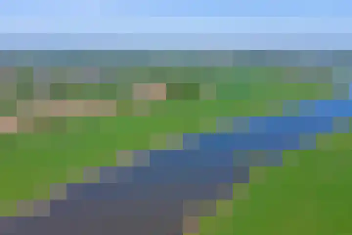 Bandijk 33 Terwolde thumbnail 4