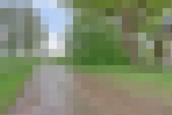 Bandijk 33 Terwolde thumbnail 59