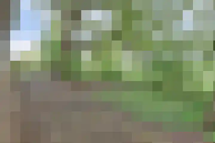 Bandijk 33 Terwolde thumbnail 62