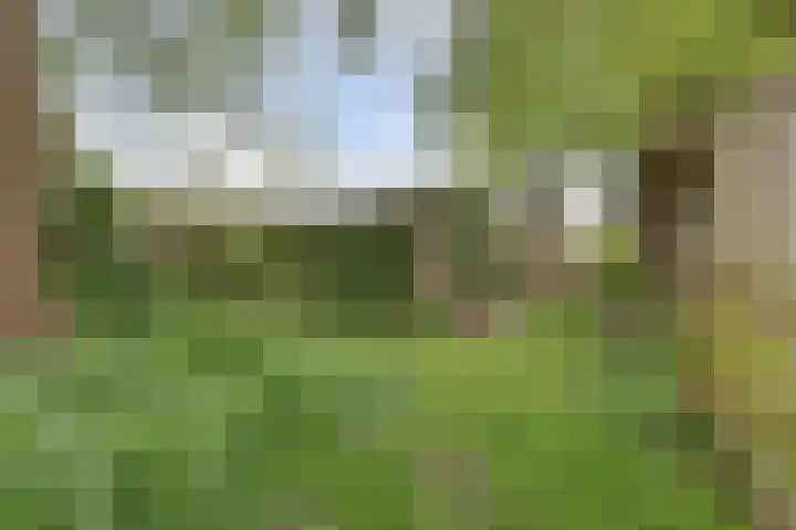 Bandijk 33 Terwolde thumbnail 64