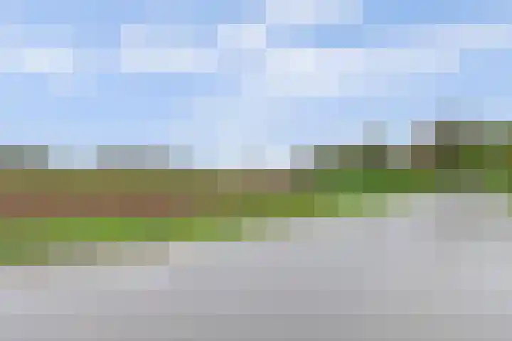 Bandijk 33 Terwolde thumbnail 65