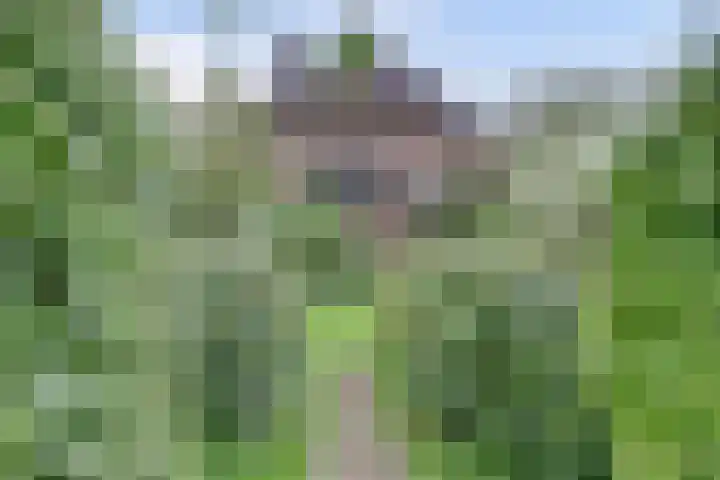 Bandijk 33 Terwolde thumbnail 7