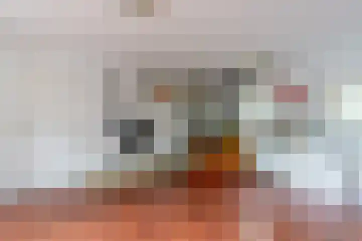 Bandijk 41 Lathum thumbnail 21