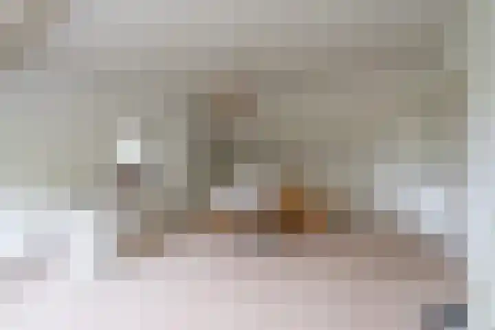 Bandijk 41 Lathum thumbnail 29