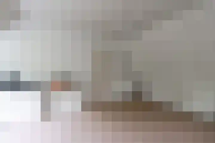 Bandijk 41 Lathum thumbnail 30