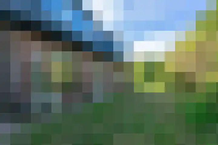 Bandijk 41 Lathum thumbnail 36