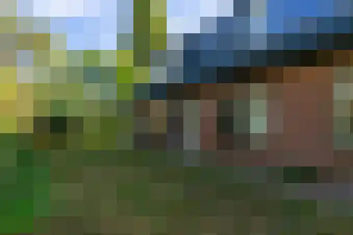 Bandijk 41 Lathum thumbnail 37