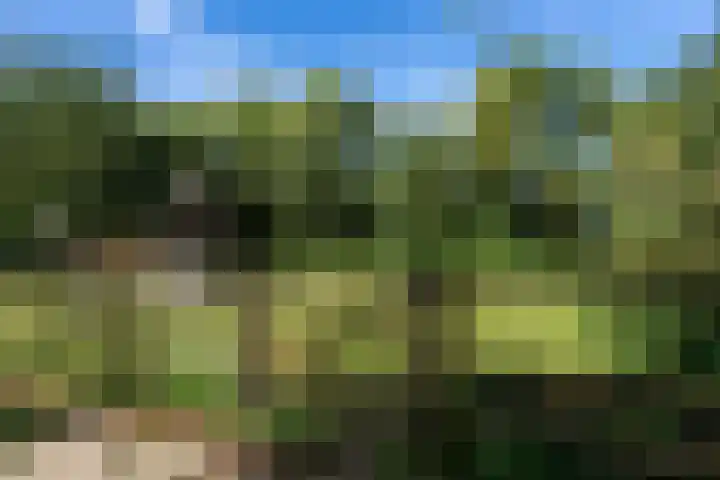 Bandijk 41 Lathum thumbnail 38