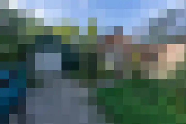 Bandijk 41 Lathum thumbnail 40