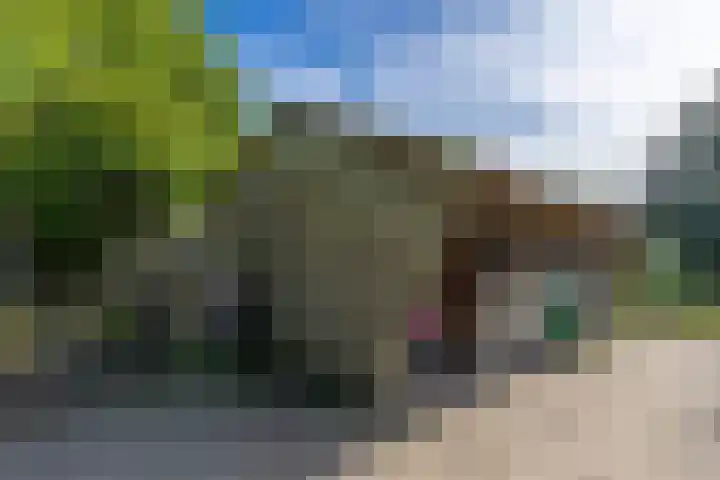 Bandijk 41 Lathum thumbnail 44