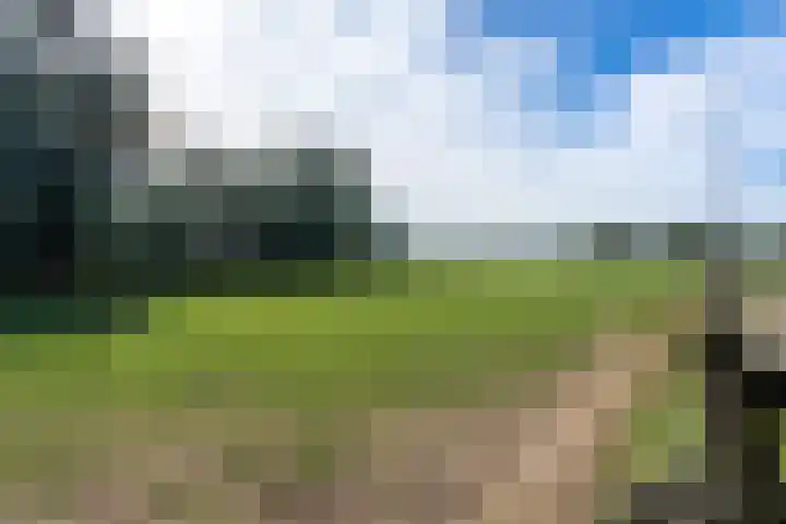 Bandijk 41 Lathum thumbnail 45