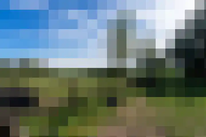 Bandijk 41 Lathum thumbnail 46