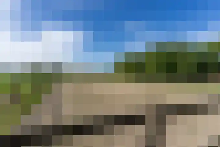 Bandijk 41 Lathum thumbnail 47
