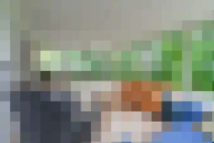 Bandijk 41 Lathum thumbnail 5