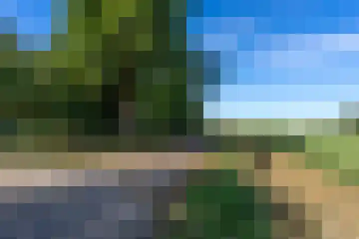 Bandijk 41 Lathum thumbnail 55