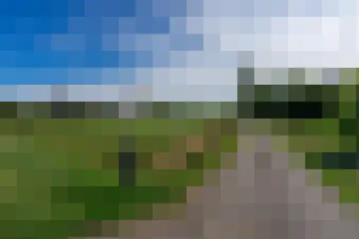 Bandijk 41 Lathum thumbnail 56