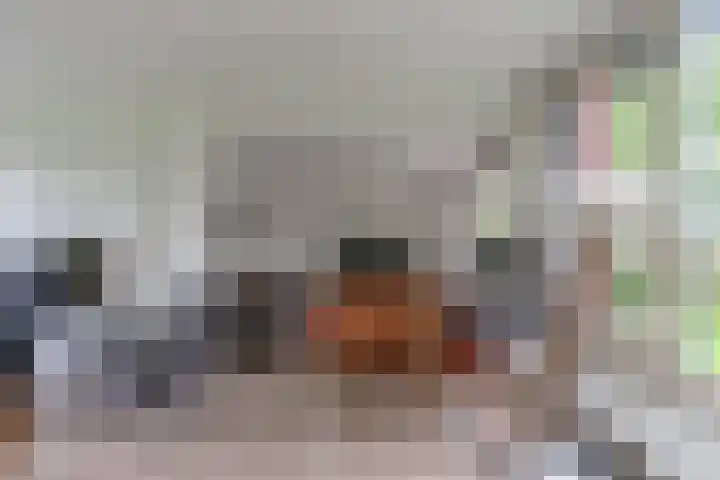 Bandijk 41 Lathum thumbnail 6