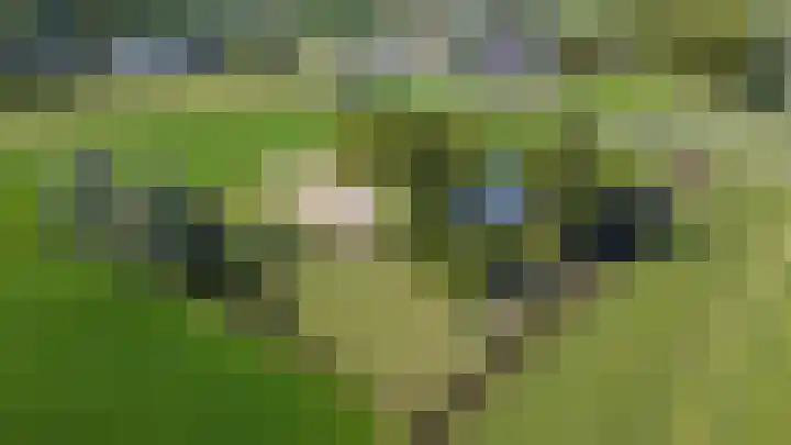 Bandijk 41 Lathum thumbnail 61