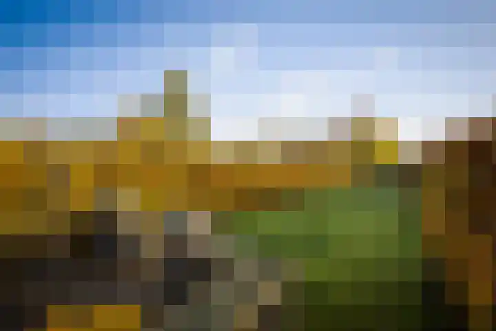 Bandijk 59 Terwolde thumbnail 29