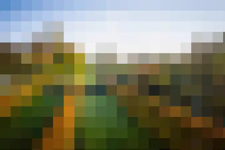 Bandijk 59 Terwolde thumbnail 30